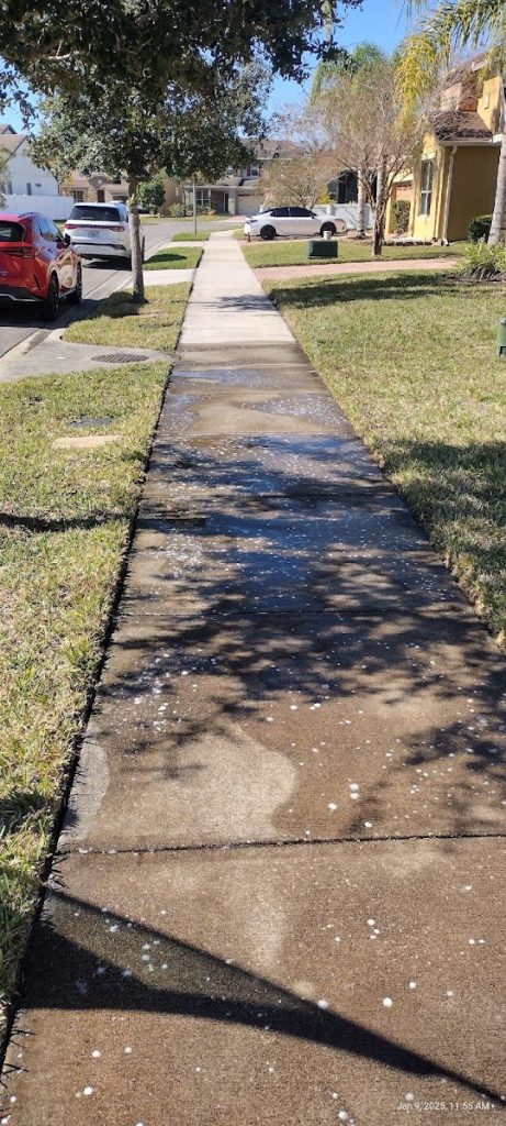 Driveway Cleaning